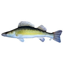 Next Level Fishing Viskussen Snoekbaars