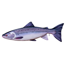 Next Level Fishing Viskussen Atlantische zalm
