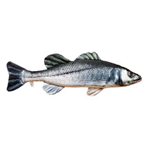Next Level Fishing Viskussen Zeebaars